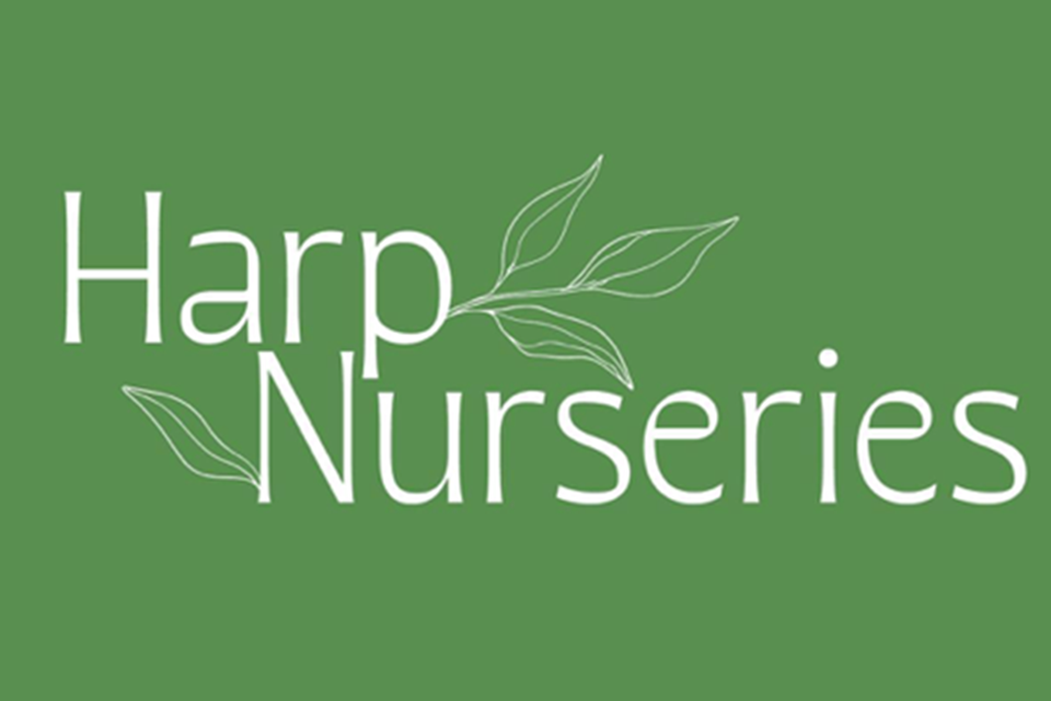 Harp Nurseries closes Colchester site, and now operates just a third of the nurseries acquired from Welcome