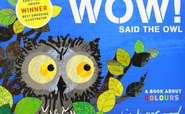 wow-said-the-owl