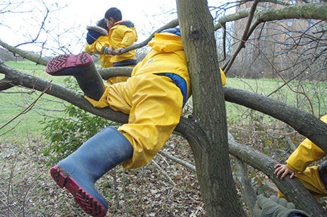 climbing-a-tree