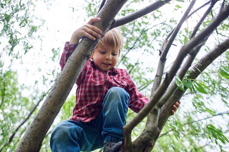 Climbing trees - an example of adventurous play - benefits well-being and may help prevent anxiety in some children