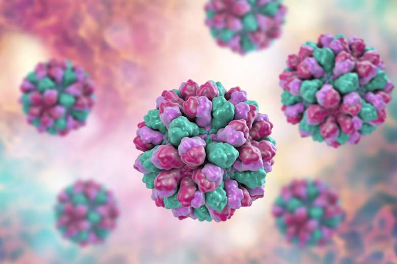 Public health experts are warning of an increase of cases of norovirus, especially in childcare settings PHOTO Adobe Stock