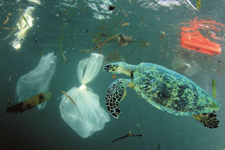 Discuss the problem of marine pollution, and share books on this issue as well as on general sea life