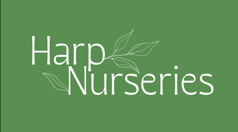Harp Nurseries closed its Colchester site on 26 May, leaving it with 9 settings, SCREENGRAB: Harp Nurseries