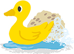 duck