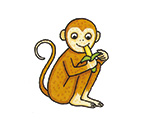 monkey
