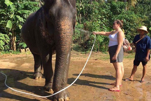 washing-elephant