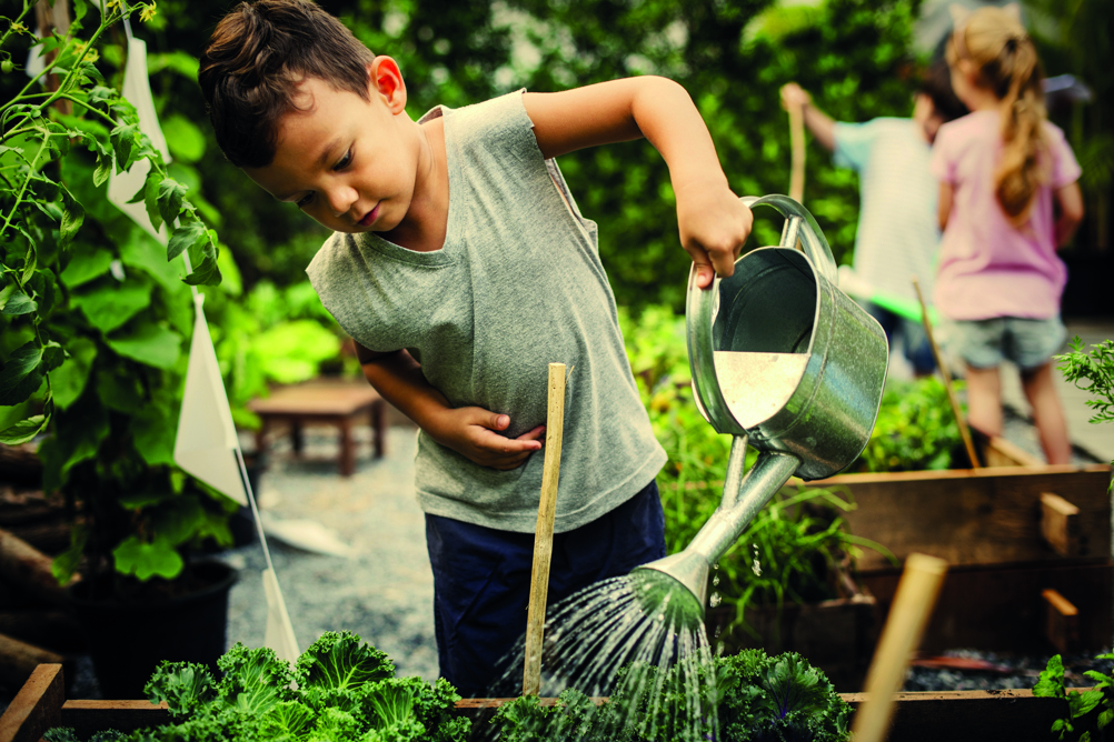 Experience and understanding of nature is a key part of the approach