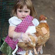 birddoctor