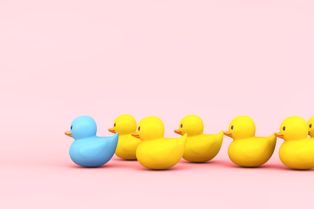 PHOTO: Adobe Stock