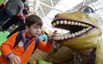 showdino