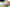 PHOTO: Adobe Stock