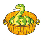 snake